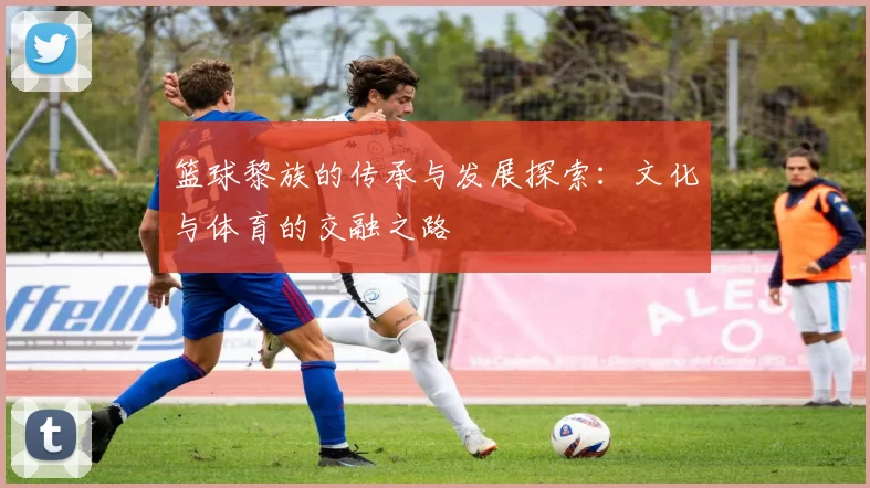 篮球黎族的传承与发展探索：文化与体育的交融之路